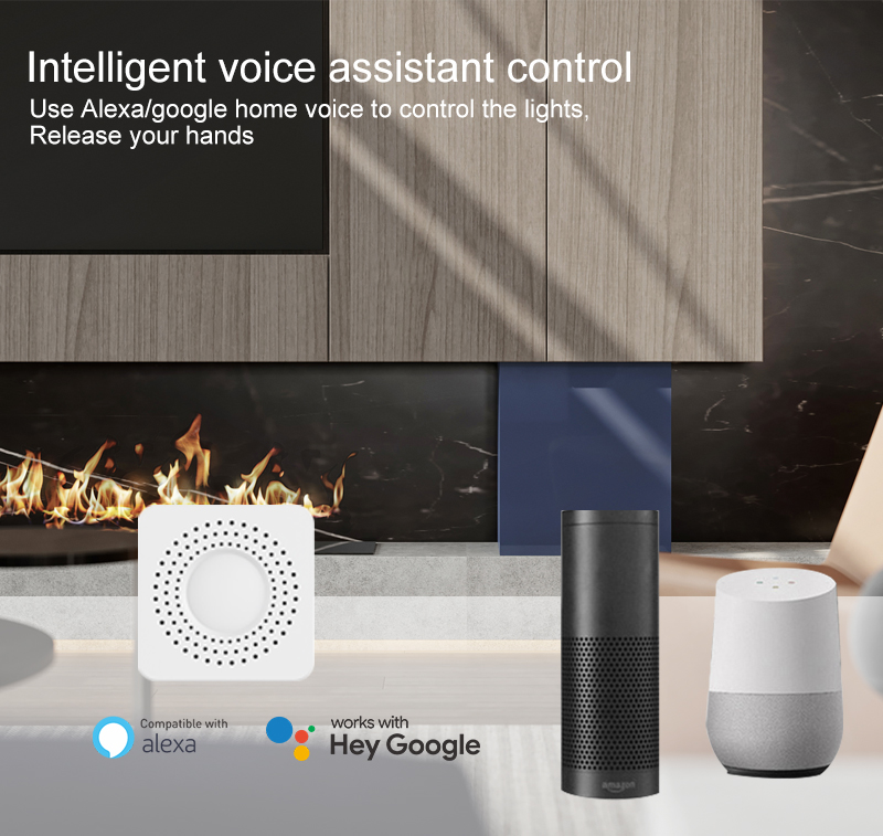 Tuya Mini Smart Switch WiFi 1- - Tuya Wifi Socket ulasan dan harga