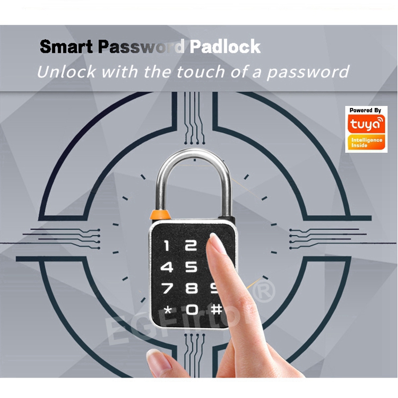 Tuya Bluetooth APP Password Co - Smart Home Lock ulasan dan harga